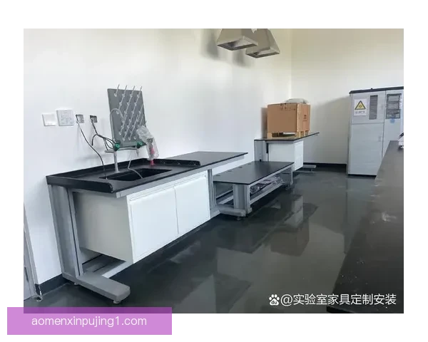 莫洛迪兹诺3-4明斯克大学X实验室前沿科研成果与创新发展探索